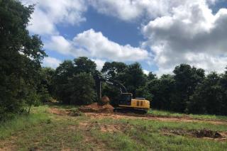 Woodland Acres Ranch - Our Journey Begins - Clearing the land